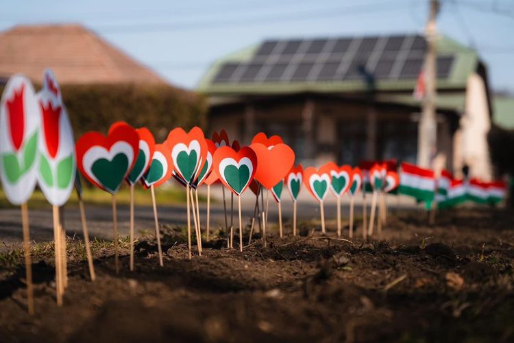 A városi ünnepségen is szerepeltünk 